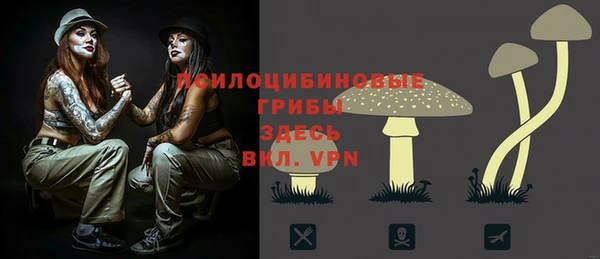 сатива Дмитров