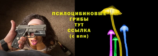сатива Дмитров