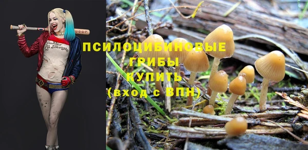ALPHA PVP Гусев